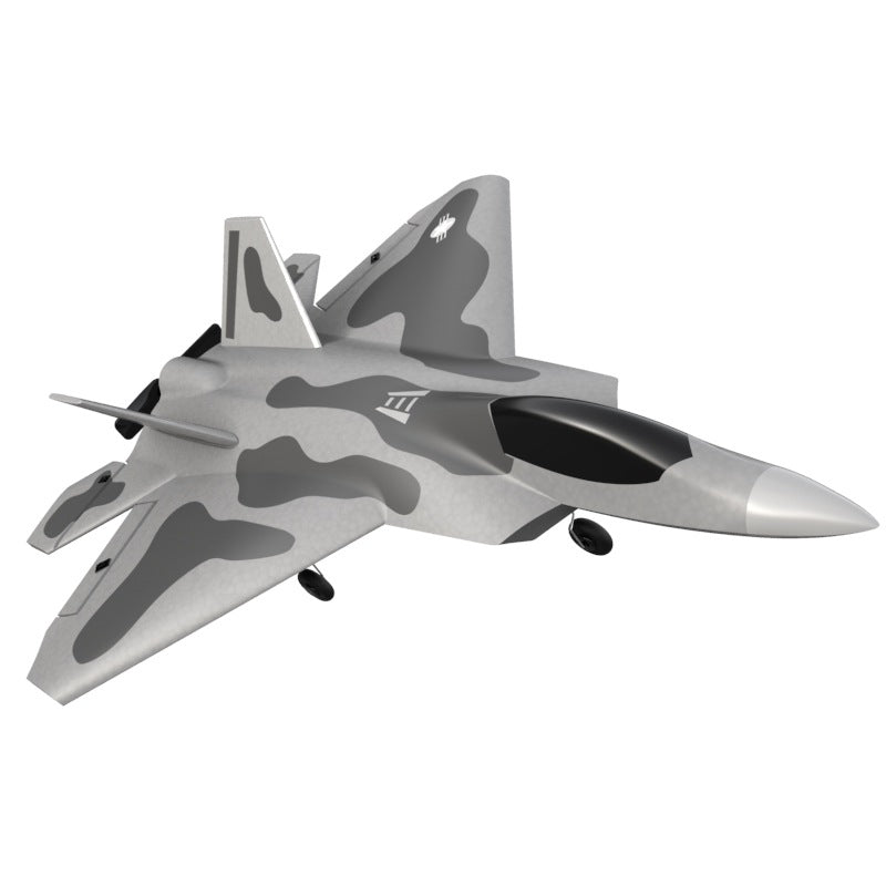 Electric RC Fighter Raptor