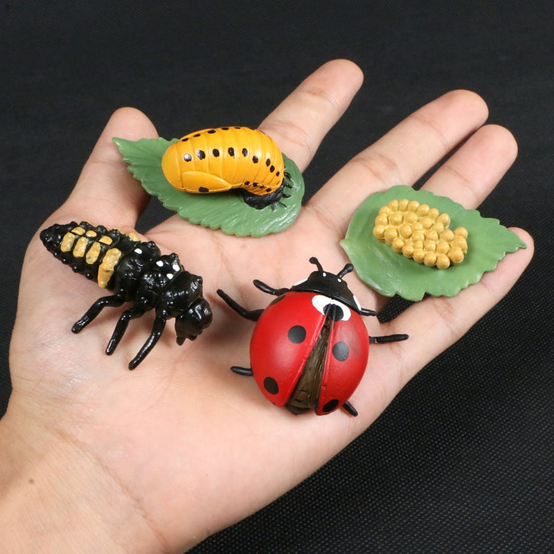 Animals Growth Cycle Figure Toys