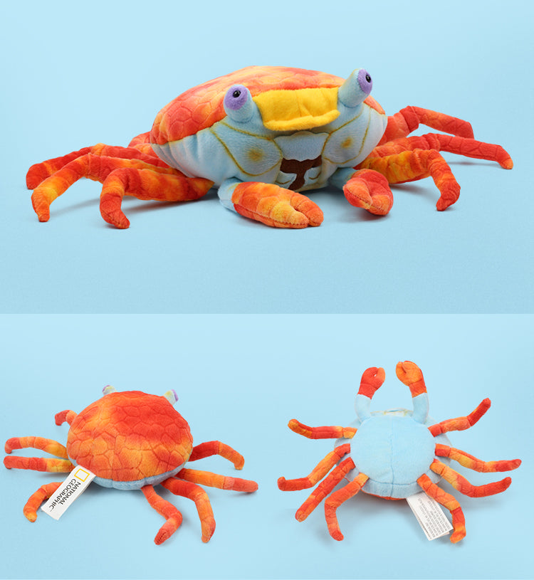 Little Crab Plush Lucky Decoration