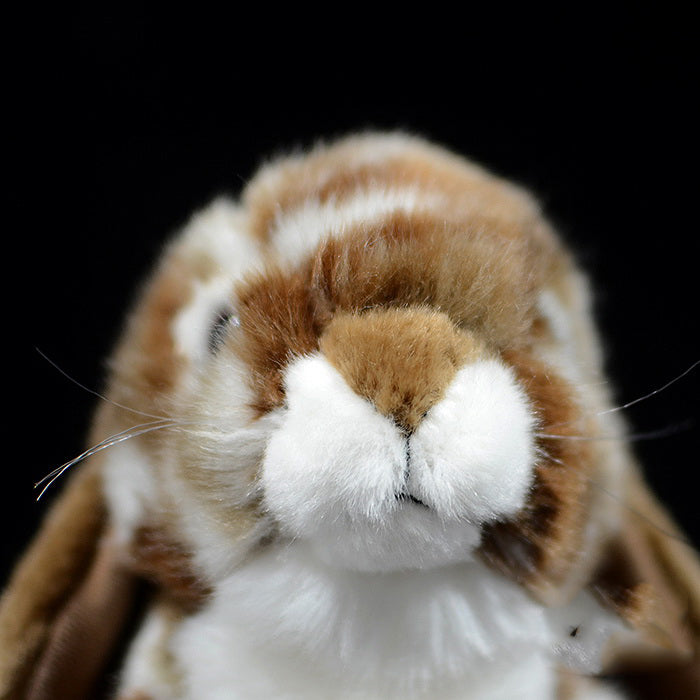 Cute Lop Eared Rabbit Plush